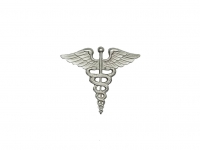 US army shop - Odznak důstojnický - Lékařská služba • Medical Service • stříbrný